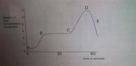 an athlete runs a race. the graph shows the concentration of lactic ...