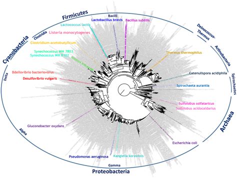 Transcriptome TreeMap 的图像结果