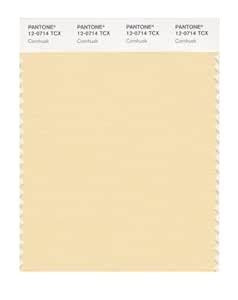 PANTONE Smart 12-0714X Color Swatch Card, Cornhusk : Amazon.in: Home ...