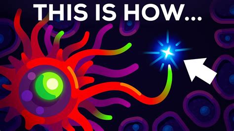 Image result for Multiverse Explained