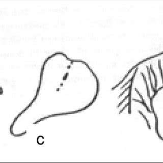 Image result for Supervised Classification Glacier