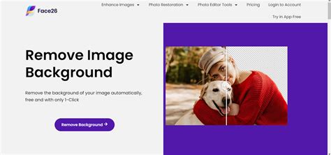Image result for Background Remove in CD-R
