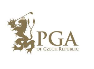 Image result for Pgac Insurance