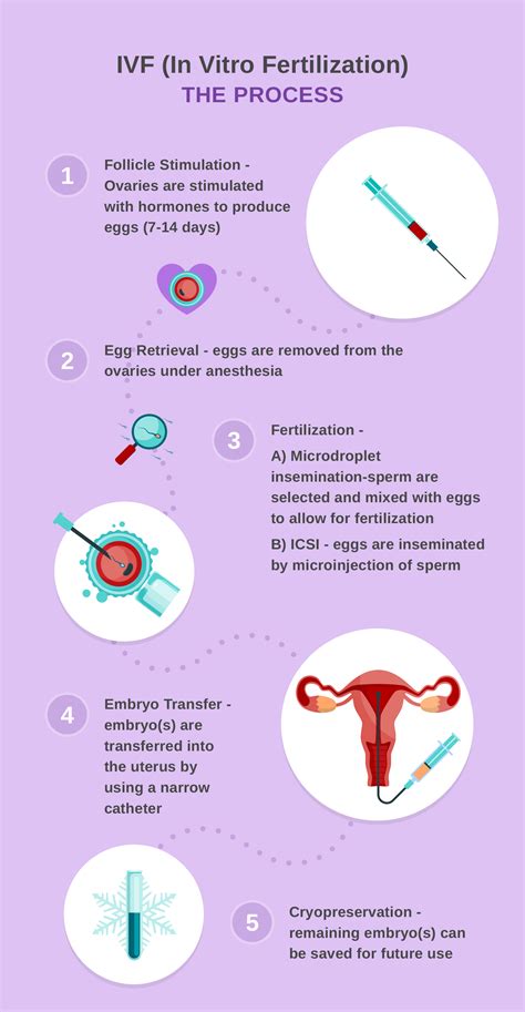 Image result for Vitro Fertilization IVF Process