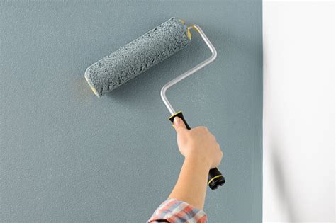 Forever Interior Paint | Dutch Boy