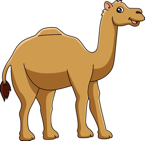 Camel Clipart Vector Art, Icons, and Graphics for Free Download
