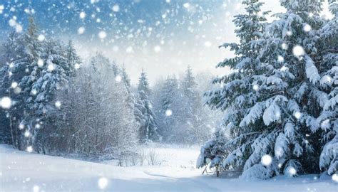 Image result for Snowfall Minecraft