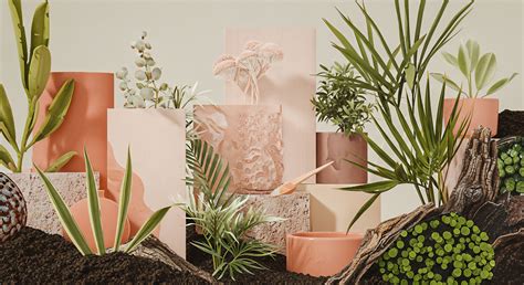 Beyond Aesthetics: How Plants Beautify Our Environment