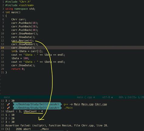 Creating Dynamic Array in C 的图像结果