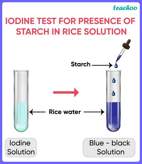 [Science MCQ] A few drops of iodine solution were added to rice water