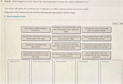 Image result for Viral Replication Process