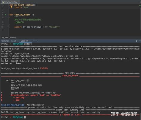 Pysshltest 的图像结果
