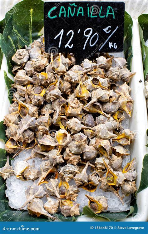 Display of Edible Sea Snails at a Market Barcelona Stock Photo - Image ...