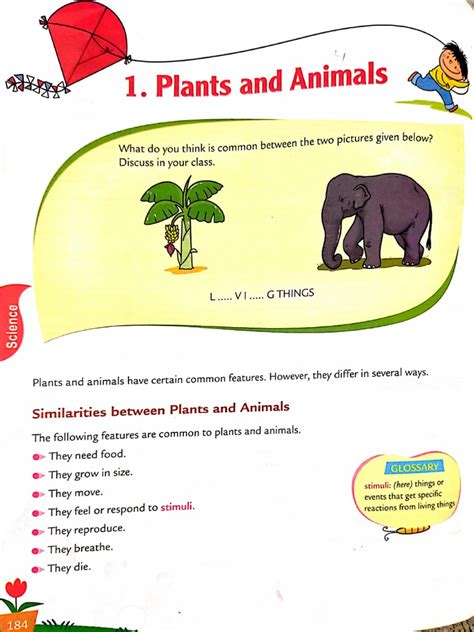 Image result for Class 5 Science Unit