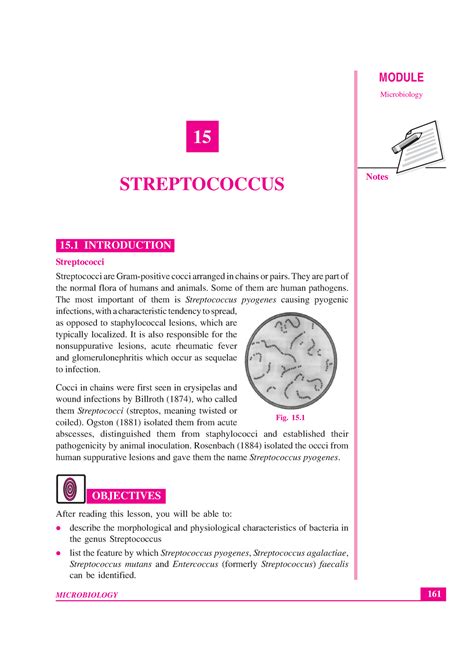 Bacteria-Streptococcus - 161 Streptococcus MODULE Microbiology Notes 15 ...