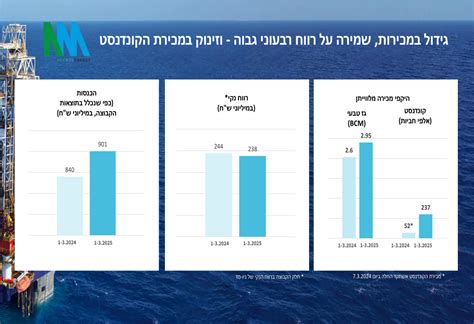 Delek Group Q1 2025 slides reveal EBITDAX surge and strategic debt ...