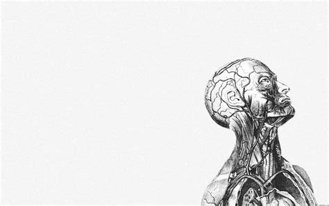 Human Physiology Wallpapers - Top Free Human Physiology Backgrounds - WallpaperAccess
