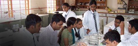 NES SVB Group - MILESTONES