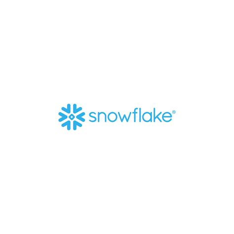 Image result for Hub Network Snowflake Logo