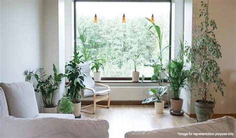 Latest Interior Design Trends in 2025 for Your Home | Tata Housing