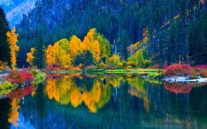 Decorative Wall Poster|Scenery Poster|lake wenatchee fall| High ...