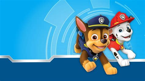Rocky Paw Patrol Wallpapers - Top Free Rocky Paw Patrol Backgrounds ...