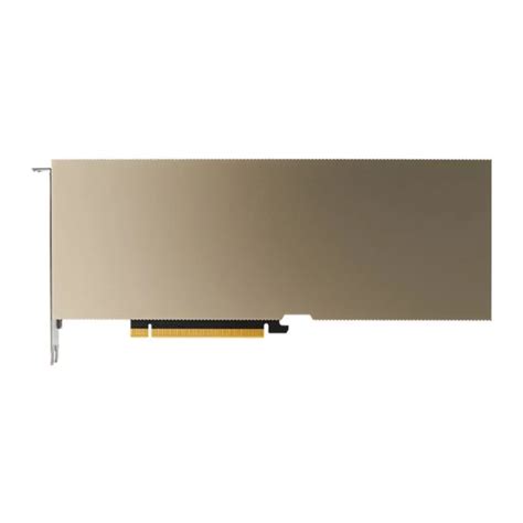 NVIDIA A30 Tensor Core GPU Accelerator for Compute GPU, AI Interface a ...