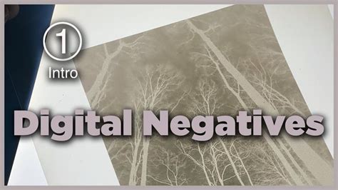 Digital Negative Tutorial 的图像结果