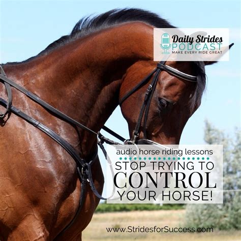 Stop Trying to Control Your Horse! - Strides for Success