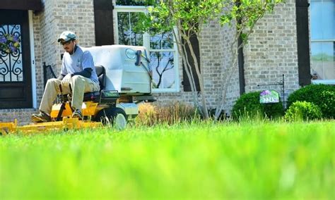 Image result for Landscape Maintenance Tips
