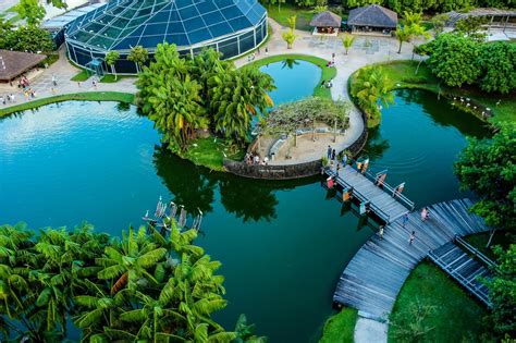 THE BEST Belem Music Festivals (2025) - with Reviews