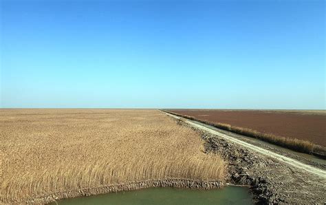 盐城黄海湿地——落潮留痕沙洲如画|文章|中国国家地理网