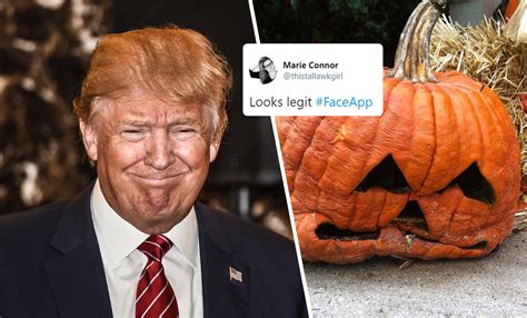 You Know What's Never Getting Old? These Hilarious FaceApp Memes! - Culture