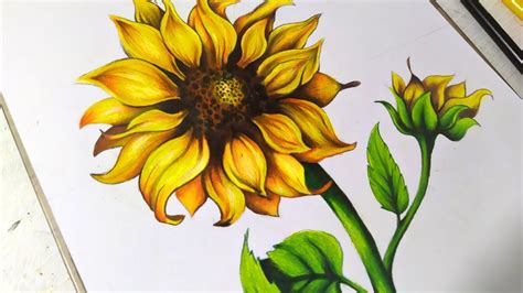 Image result for Table HTML Sample Output