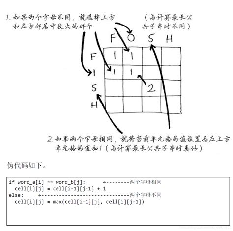 【C语言学习笔记】算法篇——动态规划_zrainj的博客-CSDN博客_c语言动态规划算法