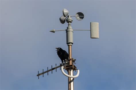 Image result for Explain How Anemometer Works