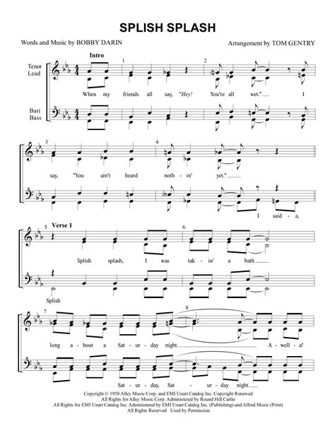 Splish Splash Lyrics