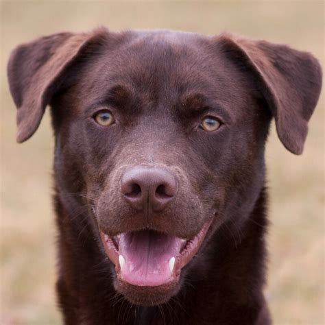 Kostenlose Kleinanzeigen Nürnberg - fast-alles.net