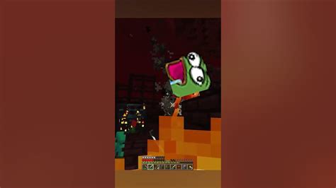 Image result for cheappickle