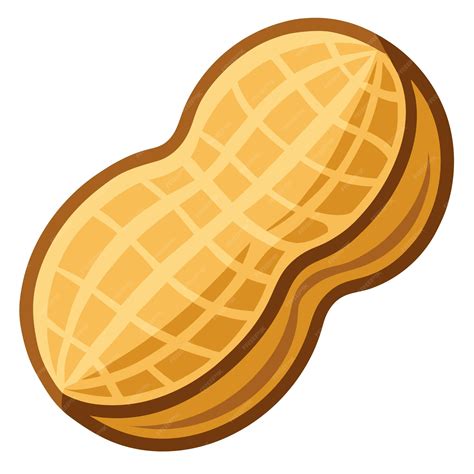 Peanut clipart vector art and illustration | Premium AI-generated vector
