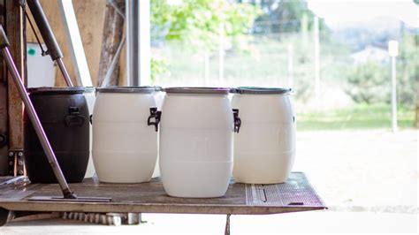 Biodegradable waste - Koto