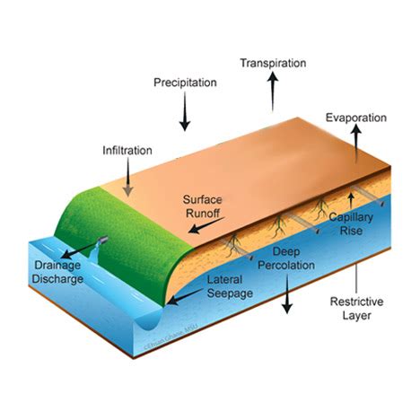 Image result for Electrically Conductive Percolation