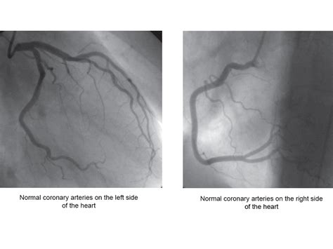Image result for Structure in SQL