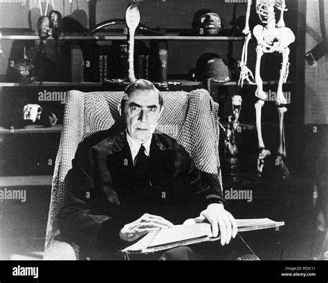 Original Film Title: GLEN OR GLENDA. English Title: GLEN OR GLENDA ...