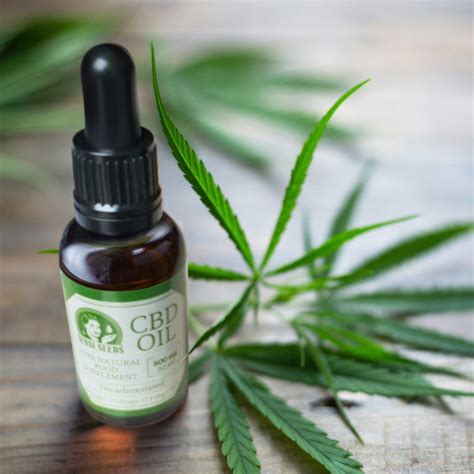 ¿Qué Es el Cannabidiol (CBD) y Cómo Se Usa en la Medicina? - Sensi Seeds