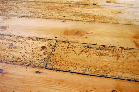 Wood Floor Filler Strips – Flooring Ideas