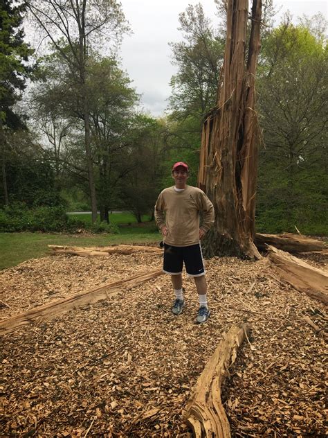 Exploding Trees Video 的图像结果