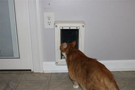 How To Install A Cat Door In A Glass Door at Joan Suggs blog