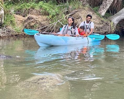 Manatee Sanctuary Park (Cape Canaveral) - All You Need to Know BEFORE ...