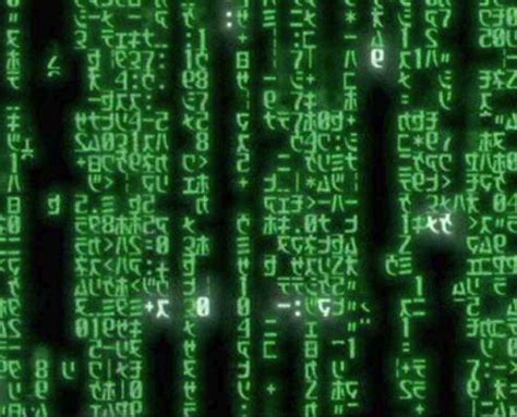 Computer Simulation 的图像结果